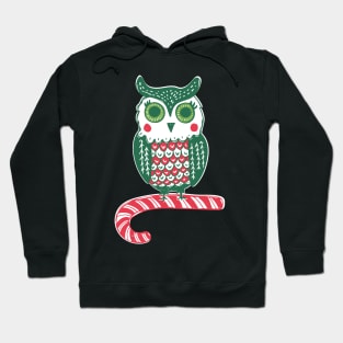 Festive Owl Hoodie